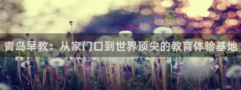 威九国际app网站官网：青岛早教：从家门口到世界顶尖的教育体验基地