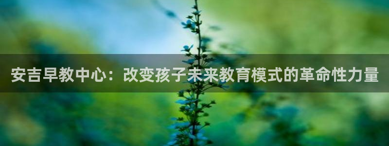 威九国际78m-MBA智库百科：安吉早教中心：改变孩子未来教育模式的革命性力量