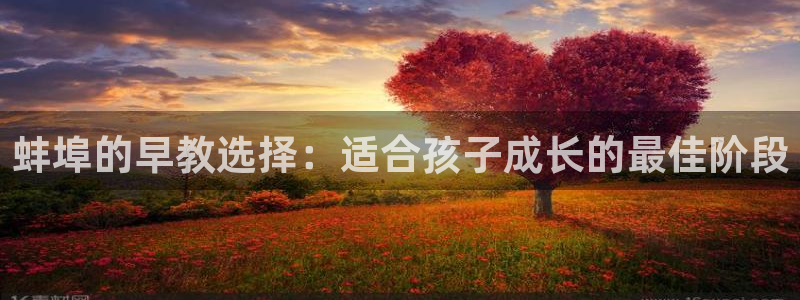 威九国际男演员：蚌埠的早教选择：适合孩子成长的最佳阶段
