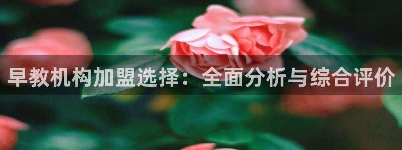 威九国际服：早教机构加盟选择：全面分析与综合评价
