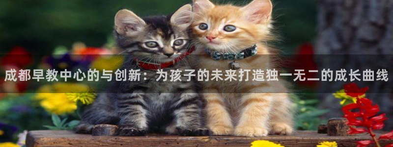 威九国际78ma：成都早教中心的与创新：为孩子的未来打造独一无二的成长曲线