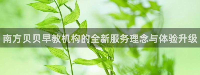 威九国际黑钱：南方贝贝早教机构的全新服务理念与体验升级