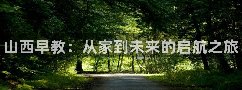 威九国际游戏app(网站)：山西早教：从家到未来的启航之旅