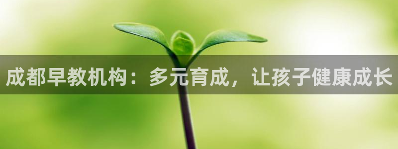 威九国际清砖码头在哪:成都早教机构:多元育成,让孩子健康成长