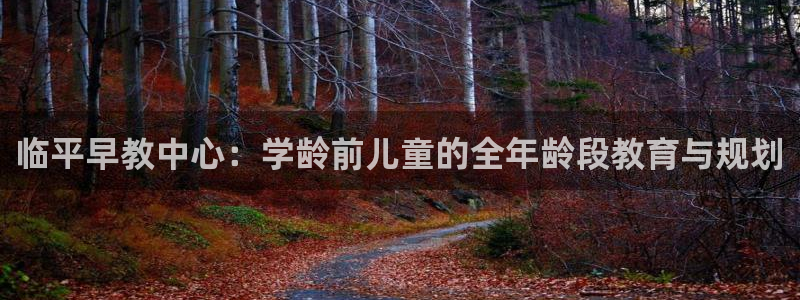 威九国际78ma：临平早教中心：学龄前儿童的全年龄段教育与规划