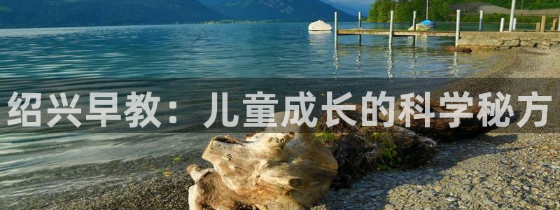 威九国际安全吗的认证团队：绍兴早教：儿童成长的科学秘方