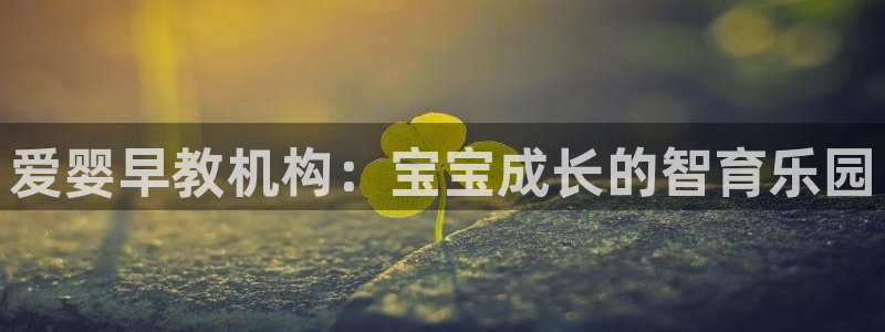 威九国际男演员：爱婴早教机构：宝宝成长的智育乐园