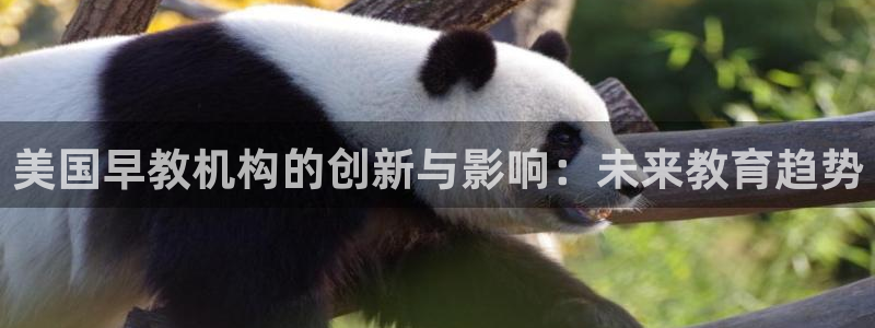威九国际电视：美国早教机构的创新与影响：未来教育趋势