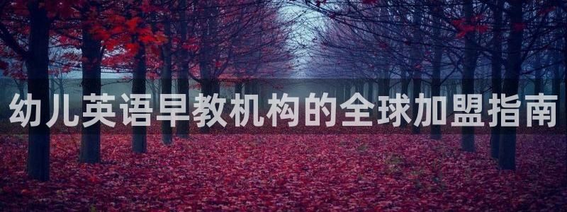 威九国际h5:幼儿英语早教机构的全球加盟指南