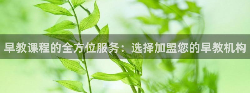 威九国际app网站官网:早教课程的全方位服务:选择加盟您的早教机构