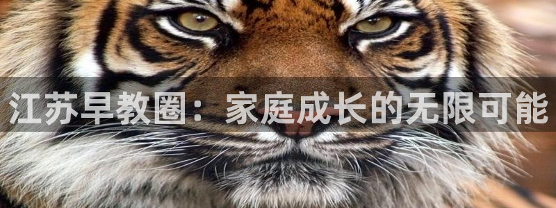 威九国际X8：江苏早教圈：家庭成长的无限可能