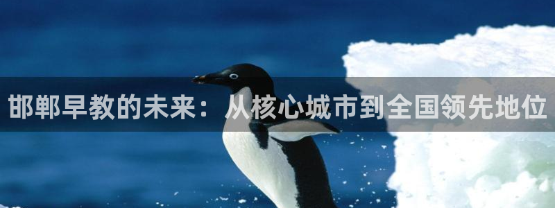 威九国际在线平台怎么样啊:邯郸早教的未来:从核心城市到全国领先地位