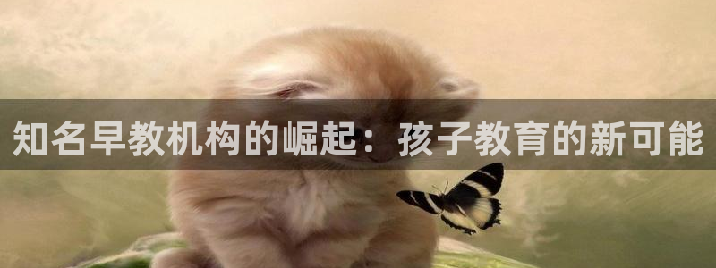66m威九国际成长模式：知名早教机构的崛起：孩子教育的新可能