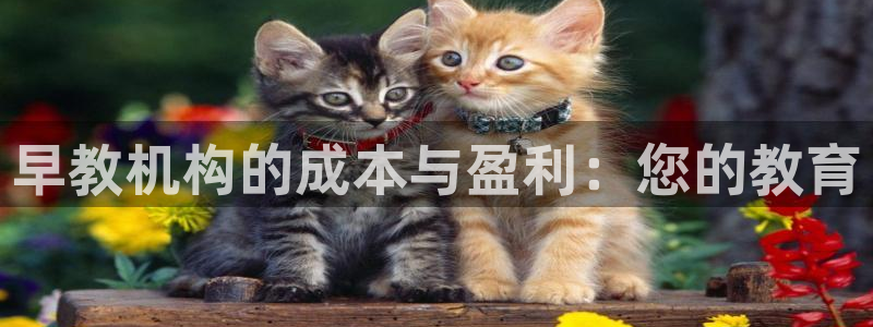 威九国际和之前：早教机构的成本与盈利：您的教育