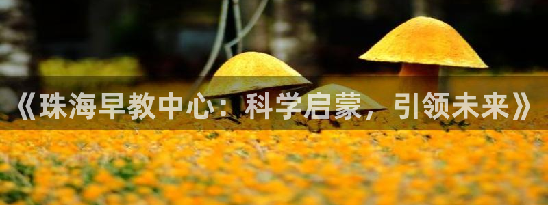 威九国际ppt免费吗:《珠海早教中心:科学启蒙,引领未来》