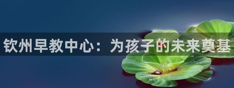 威九国际v96242cc官网版：钦州早教中心：为孩子的未来奠基