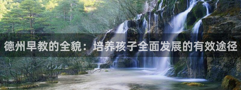 威九国际网站入口地址：德州早教的全貌：培养孩子全面发展的有效途径