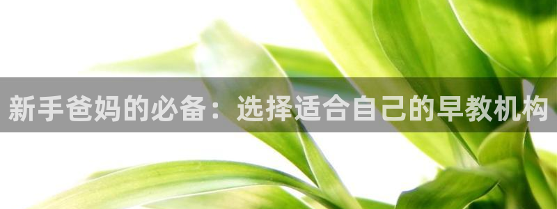 威九国际官方网站：新手爸妈的必备：选择适合自己的早教机构
