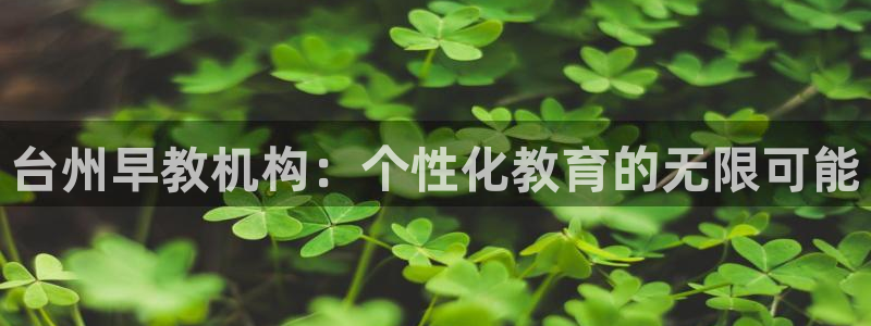 威九国际正规吗：台州早教机构：个性化教育的无限可能