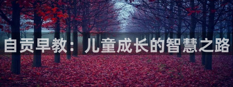 威九国际网站入口地址在哪里：自贡早教：儿童成长的智慧之路