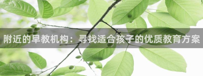 威九国际66视频：附近的早教机构：寻找适合孩子的优质教育方案