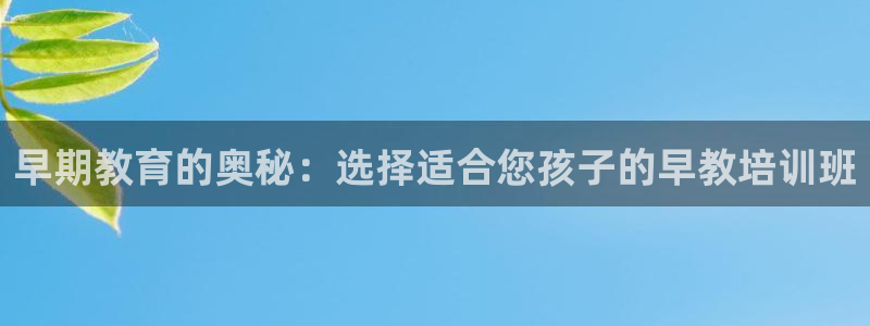 威九国际app大全下载安装：早期教育的奥秘：选择适合您孩子的早教培训班