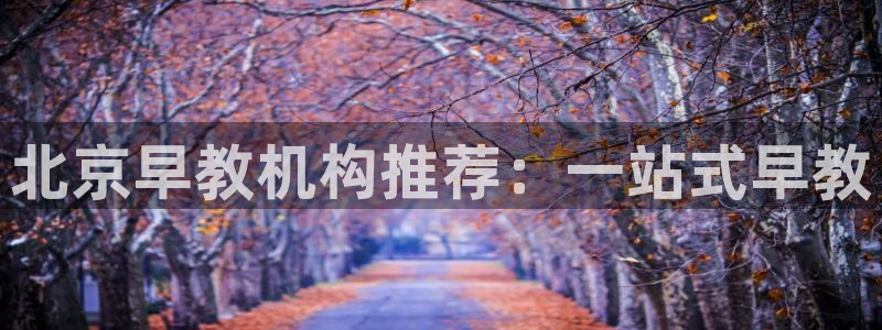 威九国际网站进入(中国)有限公司-官网：北京早教机构推荐：一站式早教