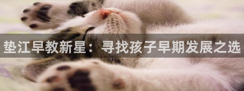 威九国际提款不出来：垫江早教新星：寻找孩子早期发展之选