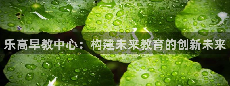 威九国际客服电话号码查询：乐高早教中心：构建未来教育的创新未来