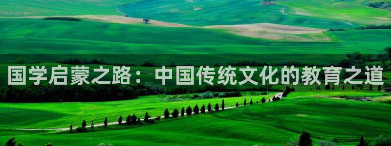 威九国际官网在线进入网站查询网址：国学启蒙之路：中国传统文化的教育之道