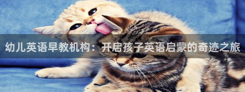 威九国际的金融服务有哪些：幼儿英语早教机构：开启孩子英语启蒙的奇迹之旅