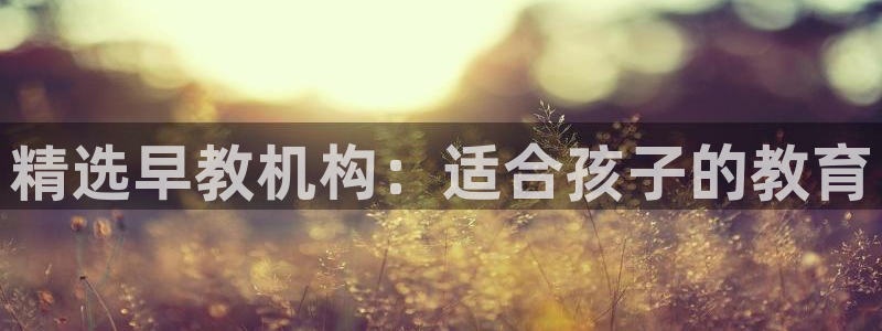 威九国际官网版下载：精选早教机构：适合孩子的教育