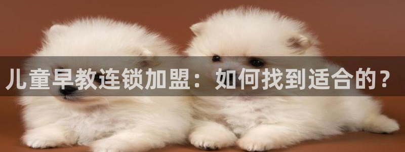 威九国际精选酒店电话：儿童早教连锁加盟：如何找到适合的？