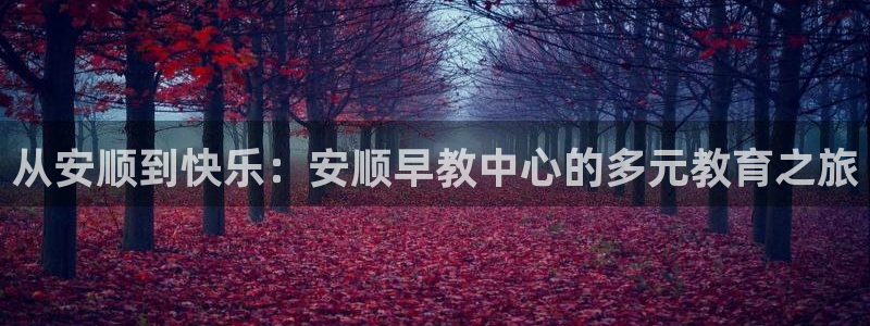 78mapp威九国际成长视频:从安顺到快乐:安顺早教中心的多元教育之旅