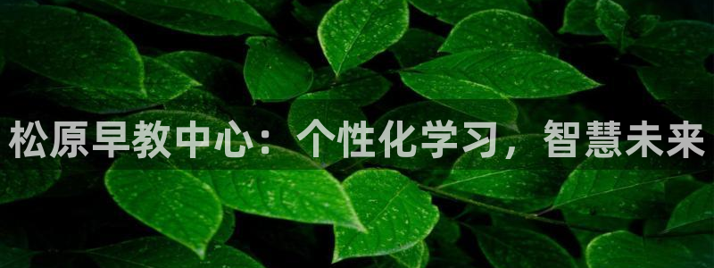 威九国际66m免费下载：松原早教中心：个性化学习，智慧未来