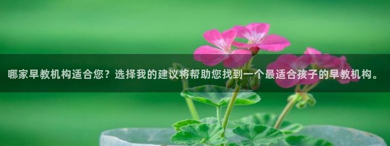 威九国际官方入口官网：哪家早教机构适合您？选择我的建议将帮助您找到一个最适合孩子