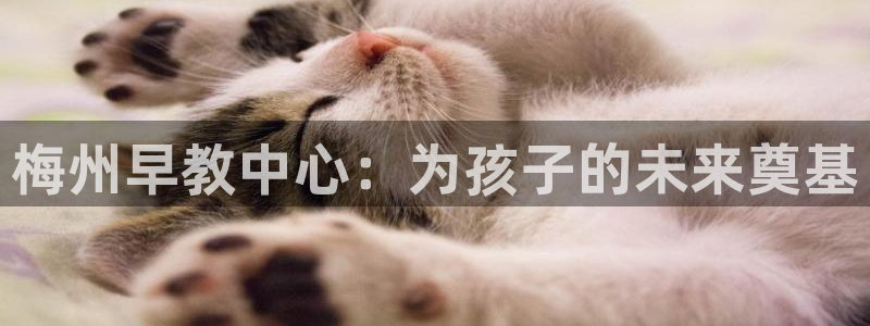 威九国际v96BET：梅州早教中心：为孩子的未来奠基