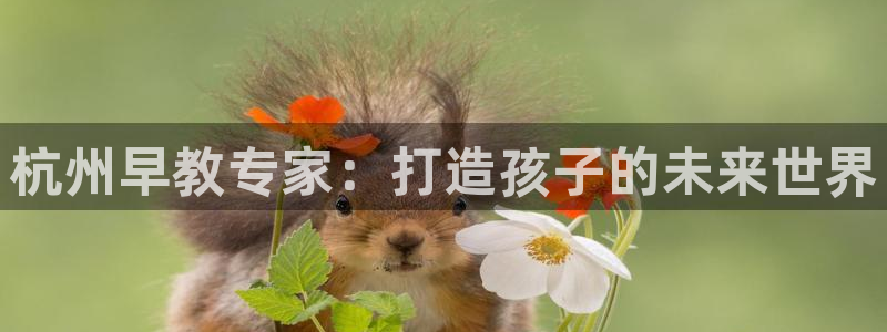 威九国际官网登录入口下载：杭州早教专家：打造孩子的未来世界