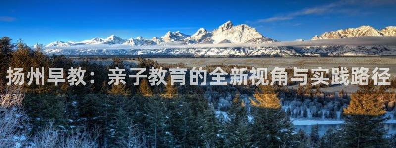 威九国际官网版下载：扬州早教：亲子教育的全新视角与实践路径