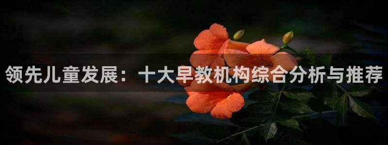 威九国际66cm:领先儿童发展:十大早教机构综合分析与推荐