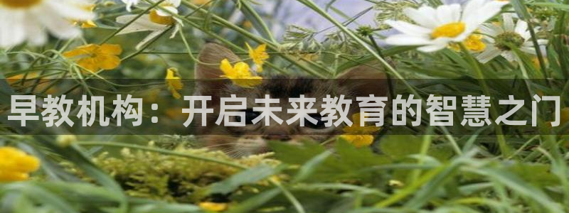 威九国际电子有限公司：早教机构：开启未来教育的智慧之门