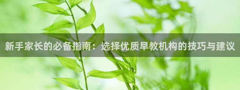 威九国际成长模式：新手家长的必备指南：选择优质早教机构的技巧与建议