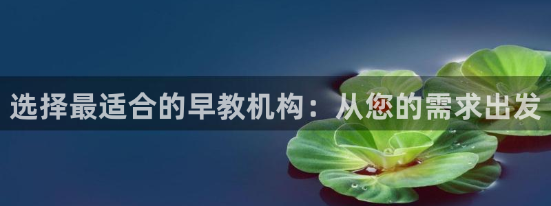 威九国际78mb官网版：选择最适合的早教机构：从您的需求出发