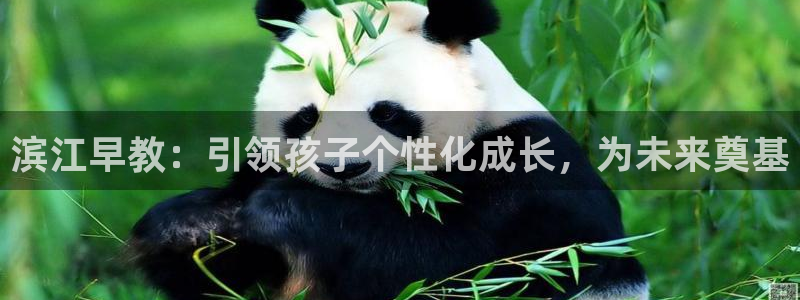 威九国际v96242cc官网版：滨江早教：引领孩子个性化成长，为未来奠基