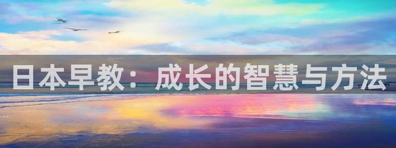 威九国际系列：日本早教：成长的智慧与方法