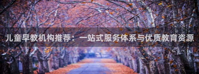 威九国际提款不出来：儿童早教机构推荐：一站式服务体系与优质教育资源