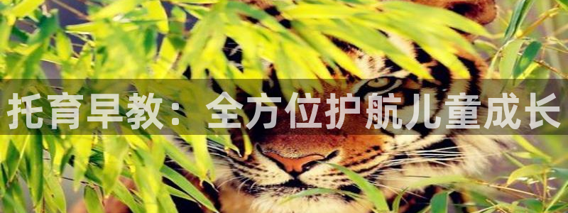 威九国际女演员好漂亮：托育早教：全方位护航儿童成长