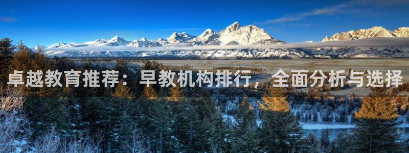 威九国际免费网络站：卓越教育推荐：早教机构排行，全面分析与选择