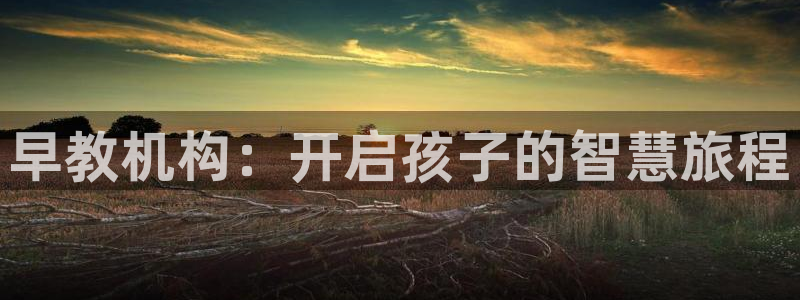 威九国际网站链接：早教机构：开启孩子的智慧旅程