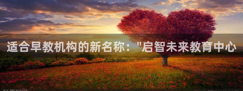 威九国际男主:适合早教机构的新名称:\